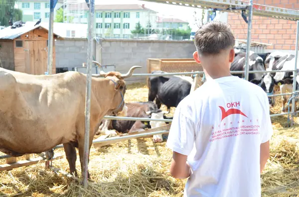 Foto nga Shpërndarja e Kurbaneve, 2021