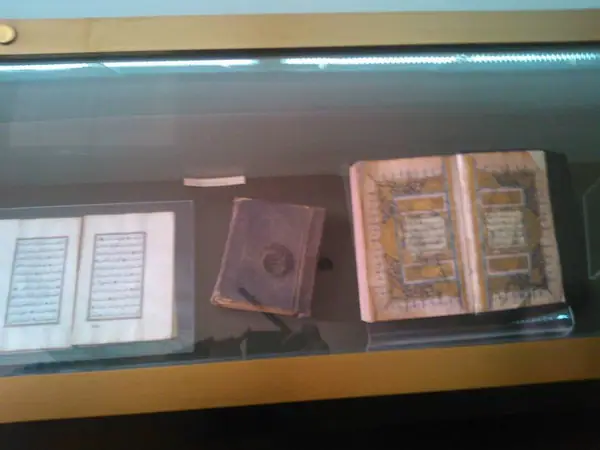 Foto nga Aktivitetet e Sektorit të Vajzave, 2013