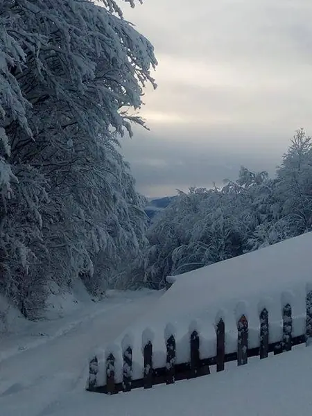 Foto nga Aktivitete Kulturore: Film, Libra, Art, 2019